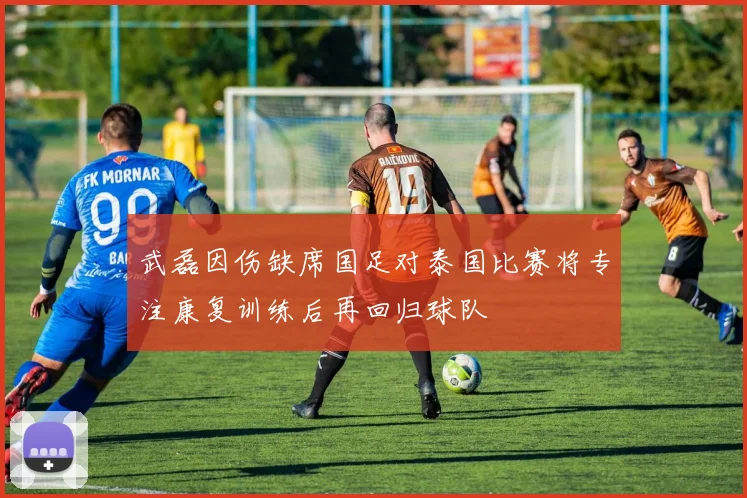 武磊因伤缺席国足对泰国比赛将专注康复训练后再回归球队