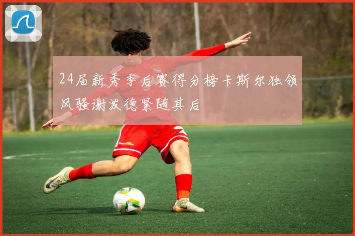 24届新秀季后赛得分榜卡斯尔独领风骚谢泼德紧随其后